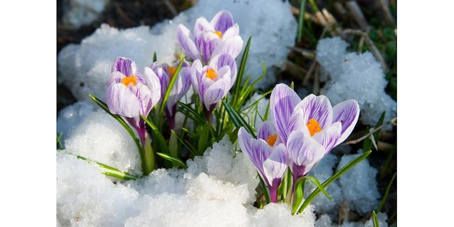 Надолго ли задержится зимняя погода, рассказал Дмитрий Рябов