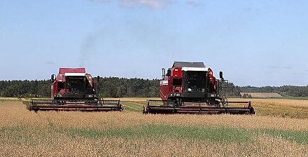 В Беларуси намолочено почти 6,9 млн тонн зерна с учетом рапса