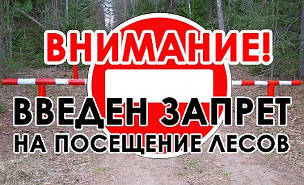 Запреты и ограничения на посещение лесов по состоянию на 13 июля введены в 87 районах Беларуси