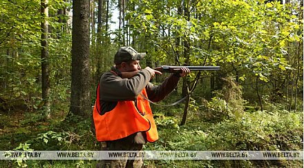 Совмин скорректировал минимальную предельную стоимость охотничьих путевок