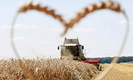 Поздравление Гродненского облисполкома и Гродненского областного Совета депутатов с Днем работников сельского хозяйства и перерабатывающей промышленности