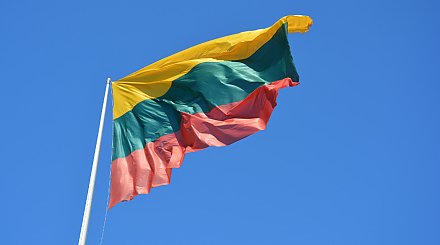 Опрос: все больше жителей Литвы резко негативно оценивают работу правительства Ругинене