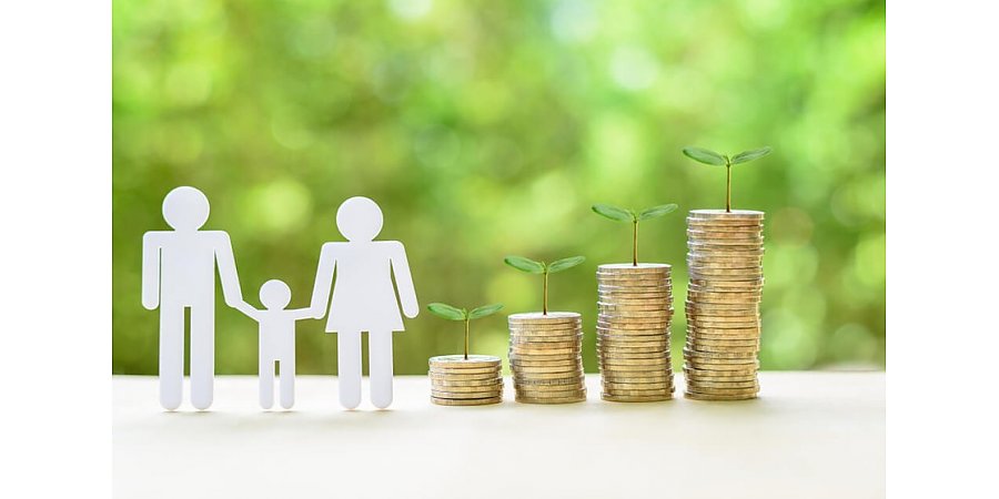 Досрочное использование семейного капитала