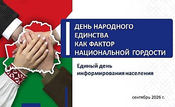 Сегодня в Вороновском районе проходит Единый день информирования на тему: «День народного единства как фактор национальной гордости»