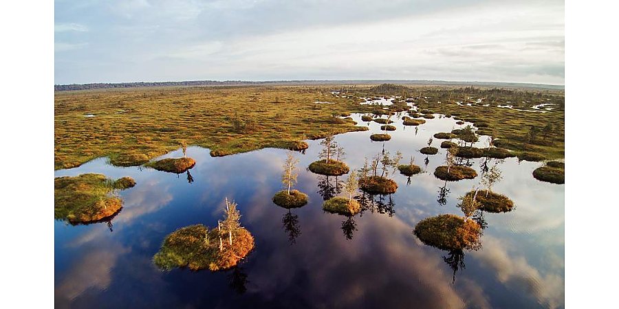 Белорусские фотографы смогут поучаствовать в выставке "Рамсарские угодья" в Зимбабве
