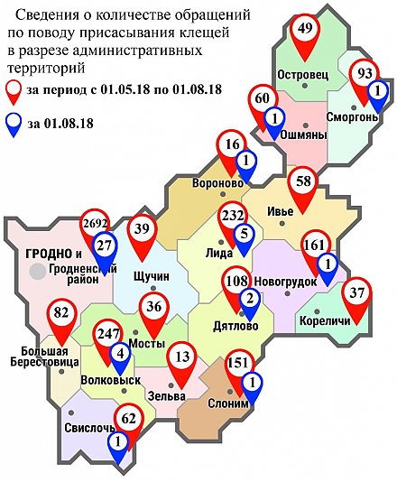 С начала мая в области по поводу укусов клещей обратились 4136 человек, в том числе вчера, 1 августа, - 43 человека