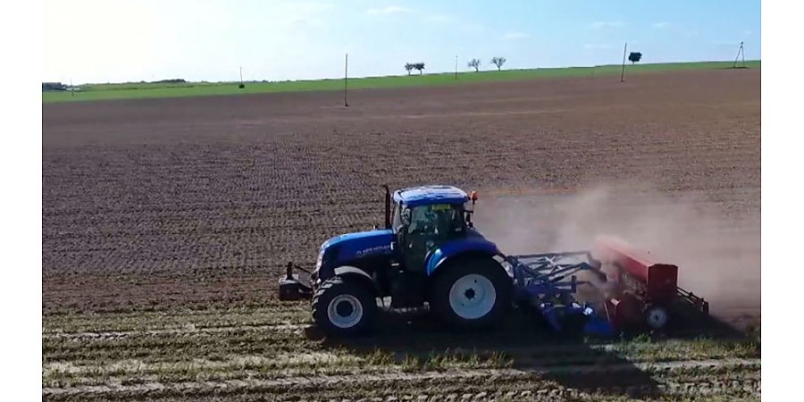 Польские власти обязали фермеров, раздававших свою продукцию бесплатно, заплатить налоги