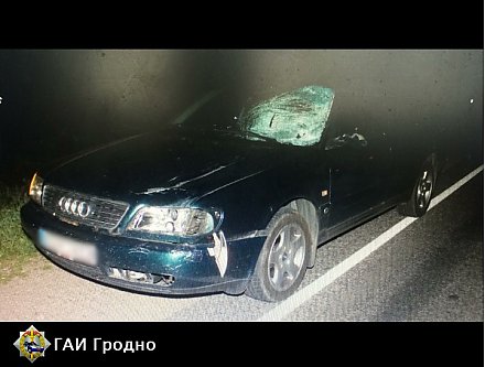 В Вороновском районе произошло ДТП, в котором погиб пешеход