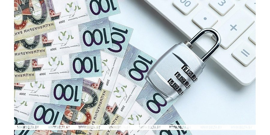 Льготы и госпрограммы. Как в Беларуси обеспечивают равные возможности, рассказали в Минтруда