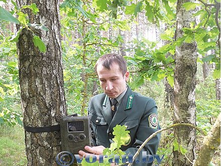 Улыбайтесь — вас снимают!