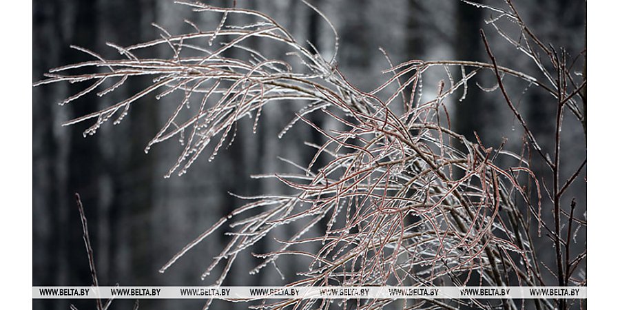 О факторах опасности при гололедице напомнили в МЧС
