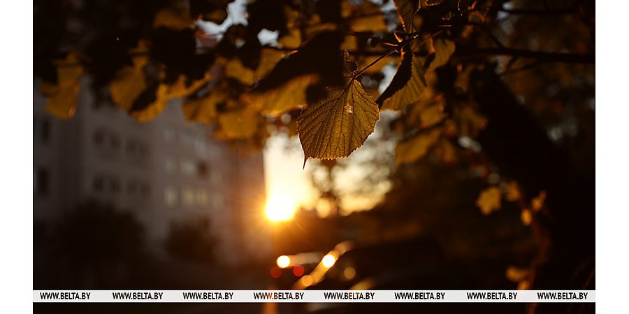 Дождливо и облачно. Какой будет погода в Беларуси сегодня