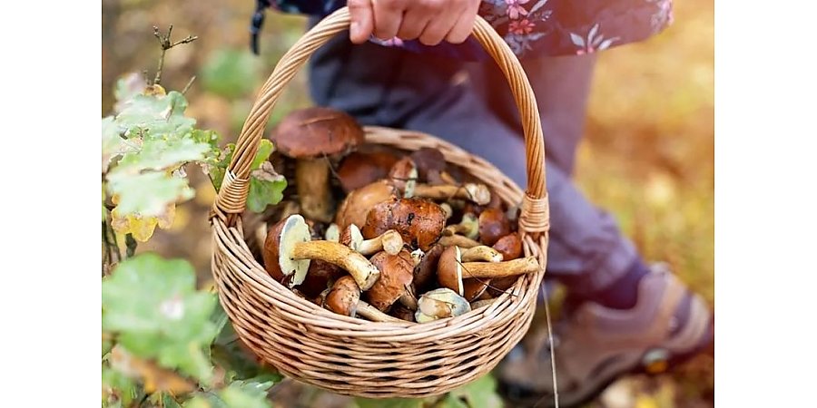 Как не стать жертвой «тихой охоты»?