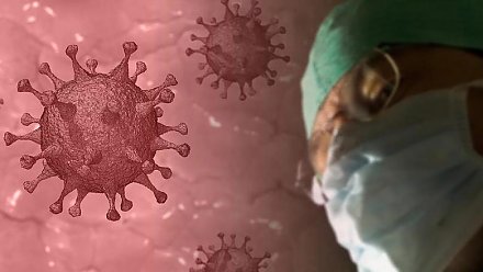 Ученые назвали основные фазы коронавирусного заражения в организме