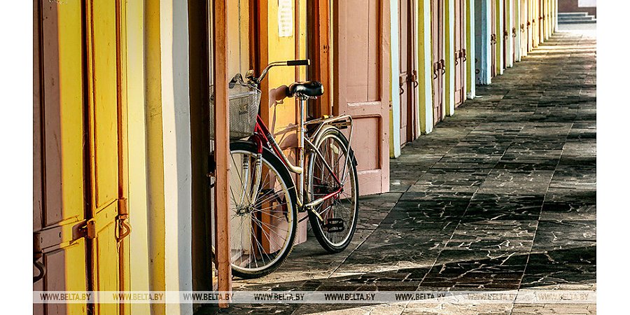 Минтруда установило нормы обеспечения соцработников велосипедами и электровелосипедами