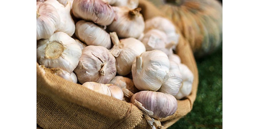 Топ-5 лучших способов хранения чеснока в квартире