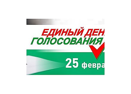 Единый день голосования: памятка для избирателя