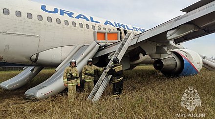 Что известно об экстренной посадке самолета на поле под Новосибирском