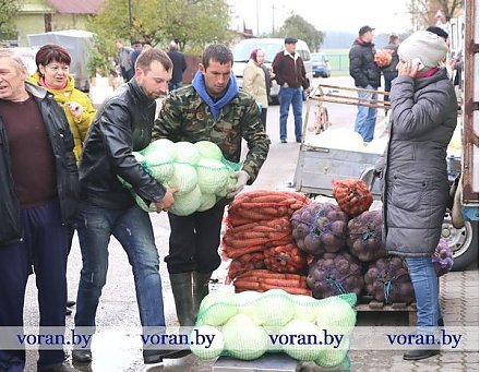 Приглашаем жителей и гостей Вороновщины на сельскохозяйственные ярмарки