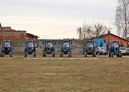 “Беларусы” на “Дакаре”. В Зельве впервые прошел тракторный биатлон