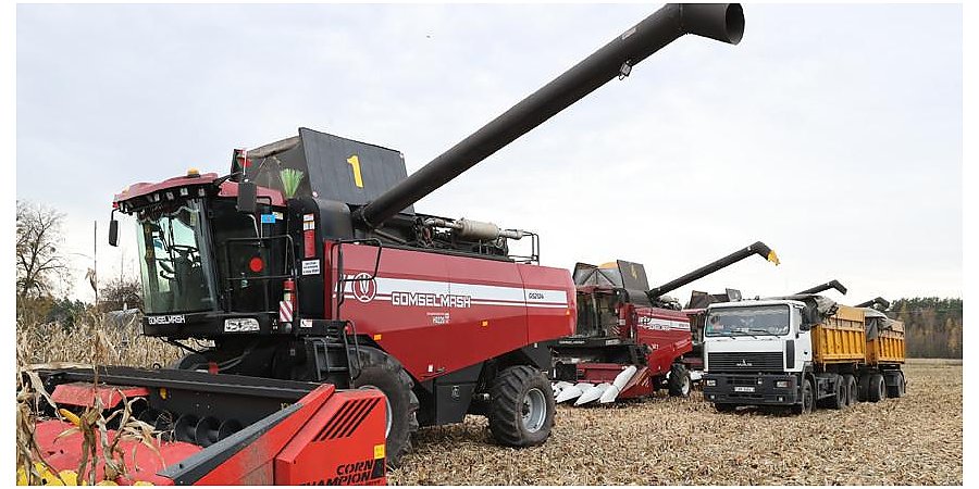 В Беларуси собрали почти 182 тысяч тонн овощей