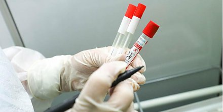 За сутки в Беларуси зарегистрированы 983 пациента с COVID-19, выписаны 1236