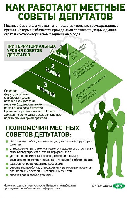 Инфографика: Как работают местные Советы депутатов