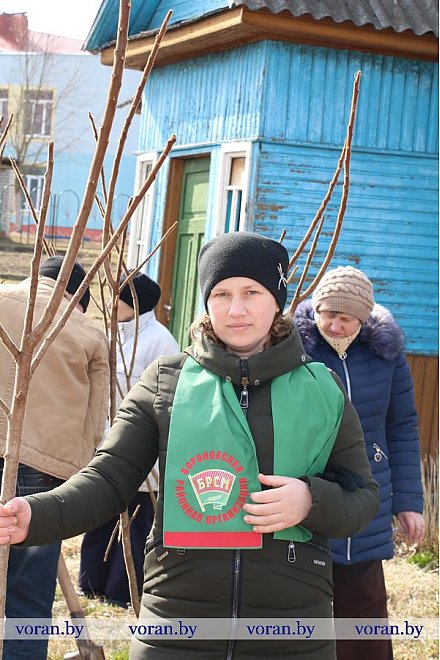 Посади дерево во имя мира, вечности и жизни…