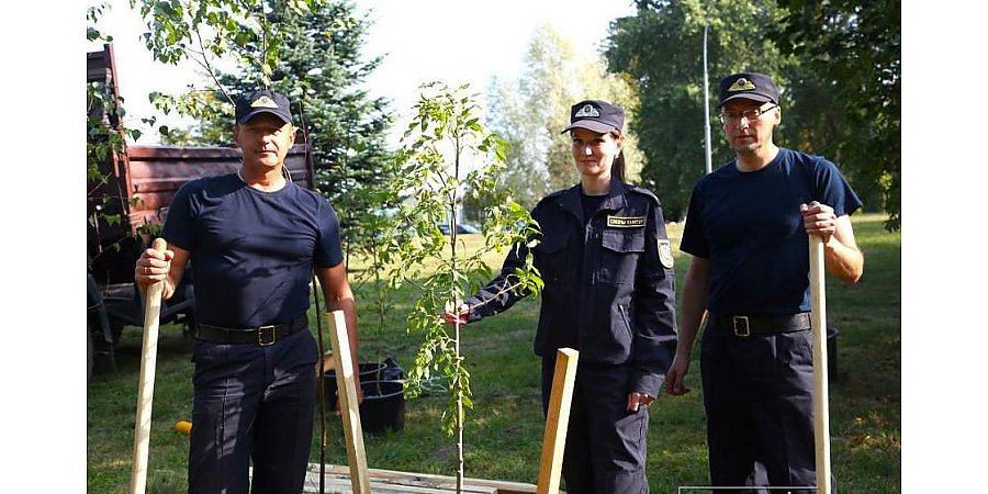 Следователи Гродненщины пополнили памятную аллею в Коложском парке новыми деревьями