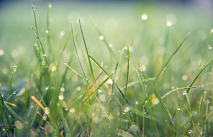 От +28°C к осеннему настроению: Беларусь ждет резкая смена погоды 14-16 августа