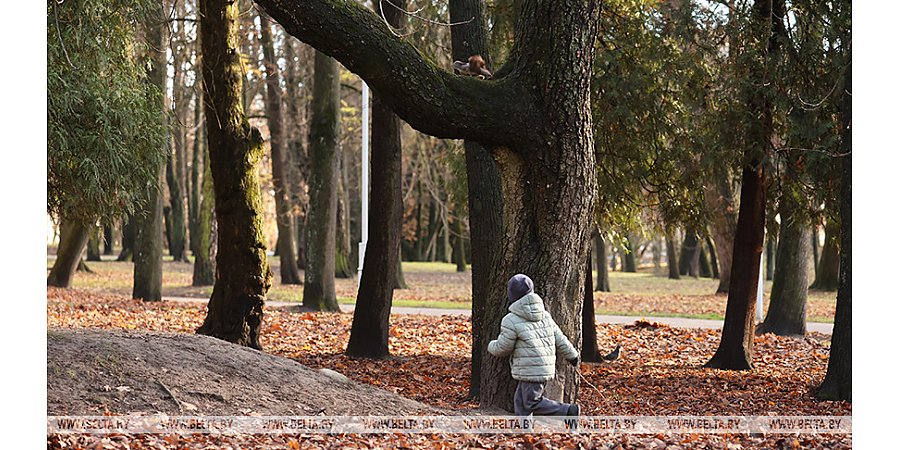 Облачно, небольшие осадки. Какой будет погода в Беларуси 20 ноября 