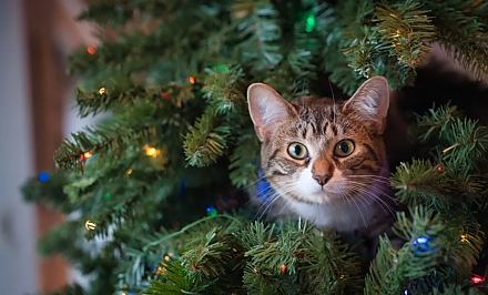 Как правильно украсить новогоднюю елку, если в доме есть домашние животные или маленький ребенок