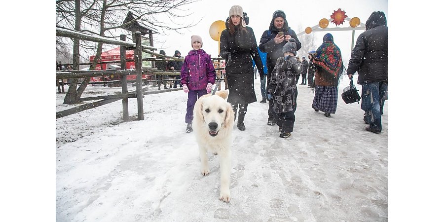 В Беларуси вырос налог за собак. Сколько придется платить в 2024 г. и что грозит за неуплату?