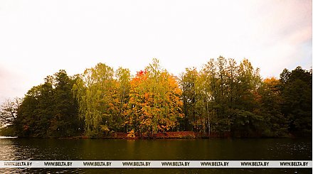 До +12°С и облачно будет сегодня в Беларуси