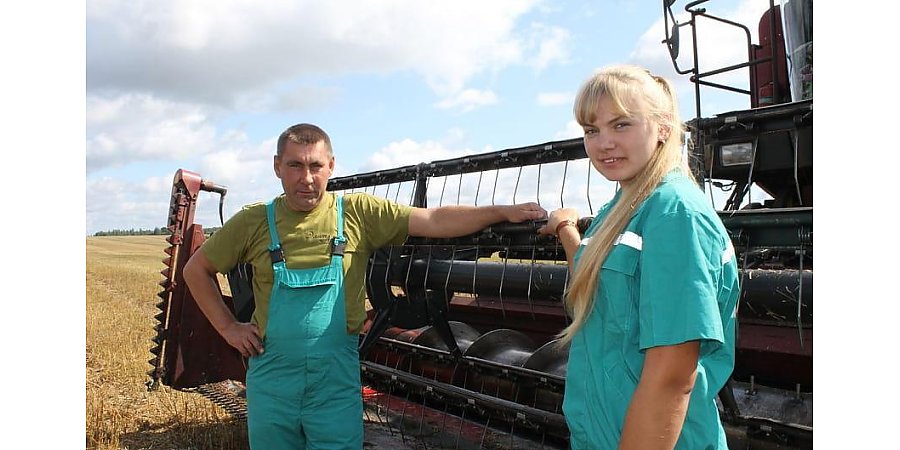 Непогода затормозила уборку в Вороновском районе и грозит потерями урожая