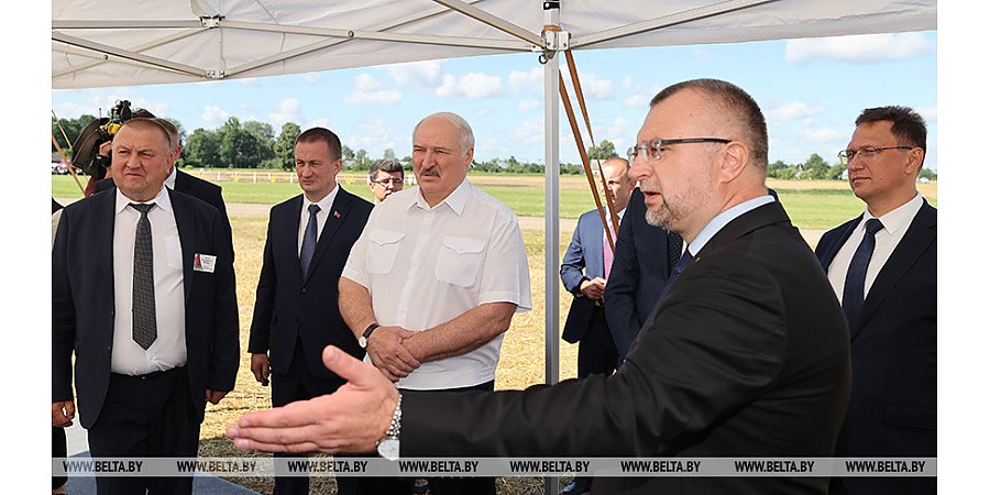 "Надо развивать свое, и это должно быть на контроле". Александр Лукашенко начал серию региональных поездок по сельхозтематике