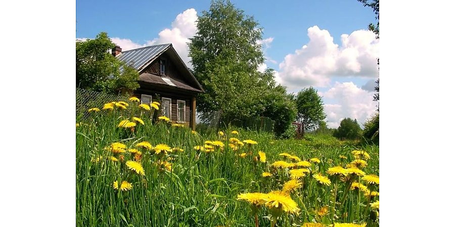 В Беларуси платят за переезд в деревню: кому и сколько?