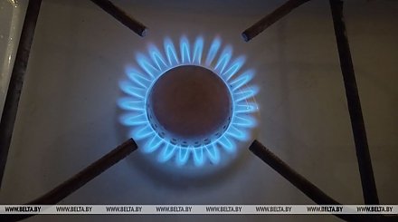 В Беларуси газифицировано более 80% квартир
