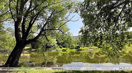 Оранжевый уровень опасности объявлен сегодня из-за гроз и ливней