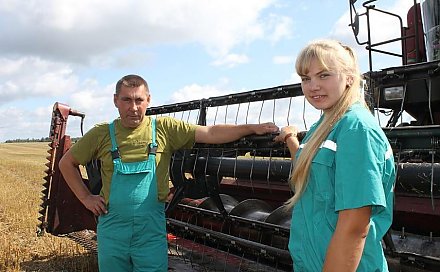 Непогода затормозила уборку в Вороновском районе и грозит потерями урожая