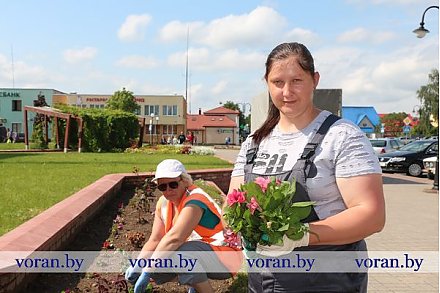 Пусть Вороново расцветет