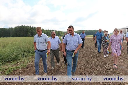Вид полей —  лицо хозяйства. В Вороновском районе прошел объезд посевов