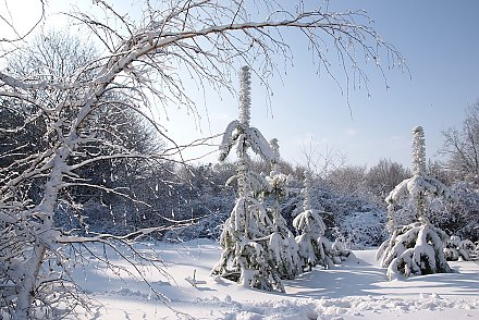 Почему по-белорусски февраль называется “люты”?