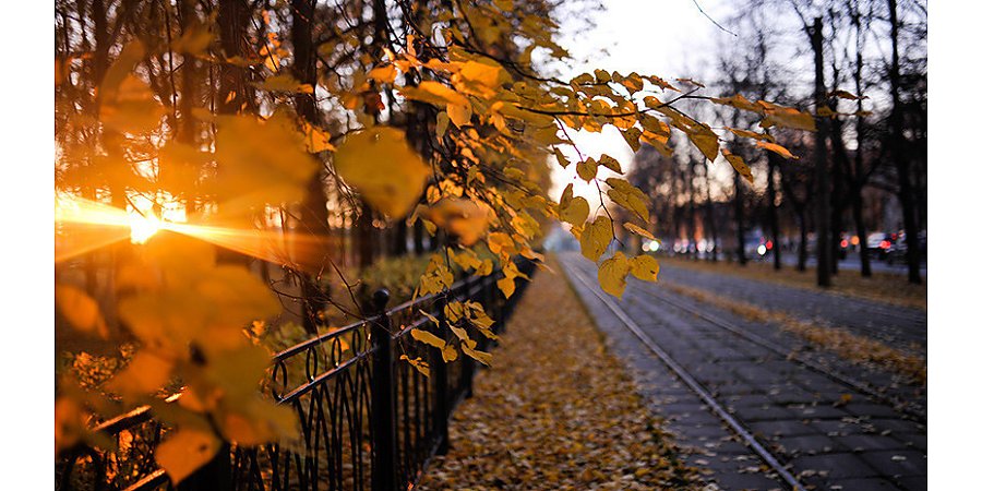 Приметы на 9 ноября 2025: откажитесь от вредных привычек на Обетный день