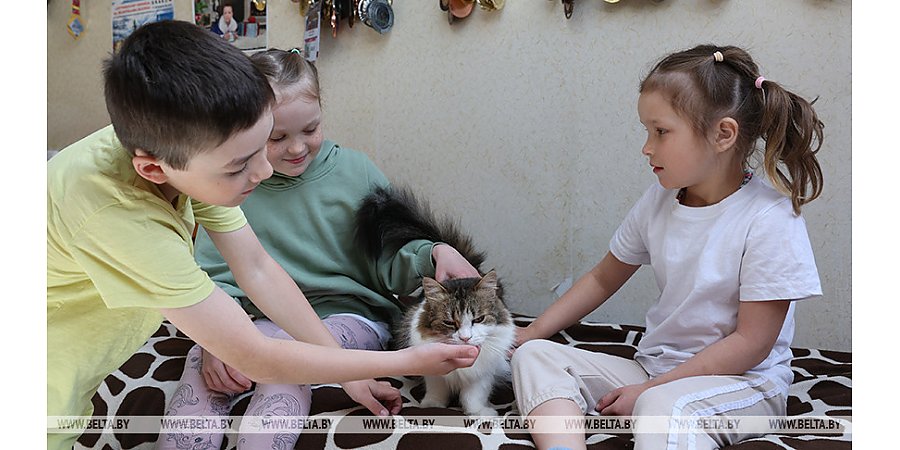 Более 153 тыс. депозитных счетов открыто в Беларуси по программе "Семейный капитал"