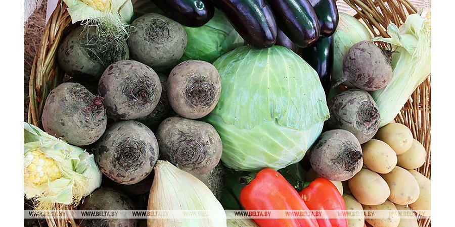 Французы за полтора года сократили покупку продуктов на 11,4% из-за инфляции