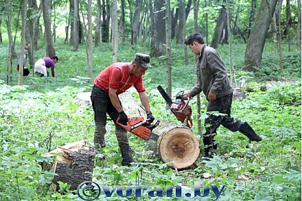 Вороновщина включилась в «Союзную уборку»