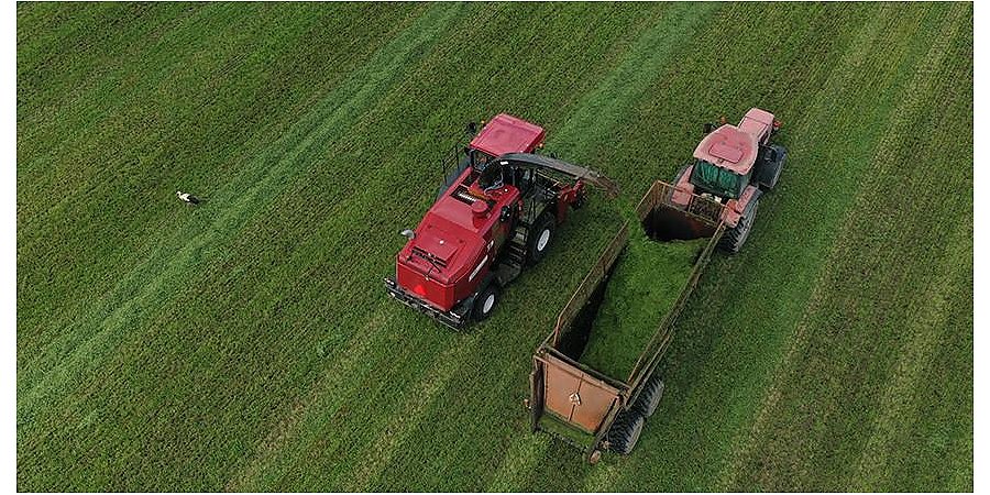 Минсельхозпрод: планируется сократить до минимума отставание по заготовке травяных кормов