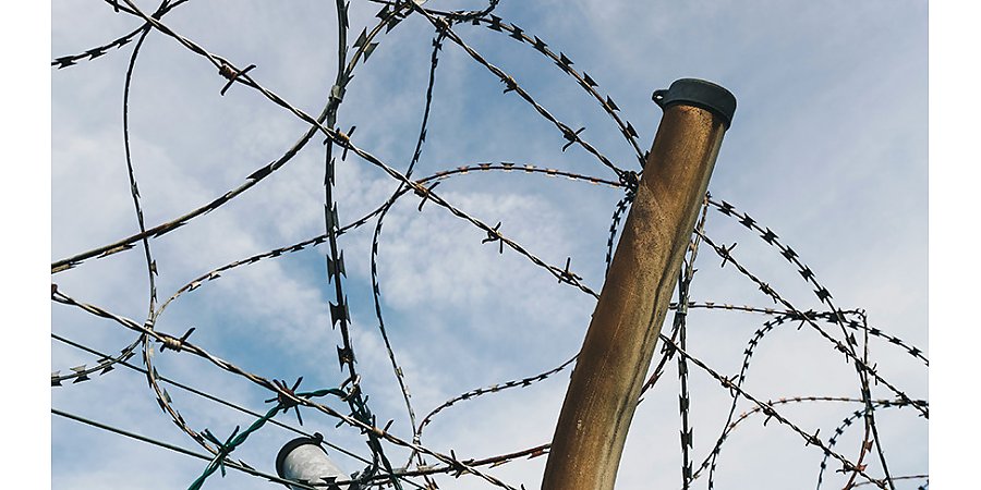 Минобороны и МВД Литвы планируют провести комплексное усиление охраны границы