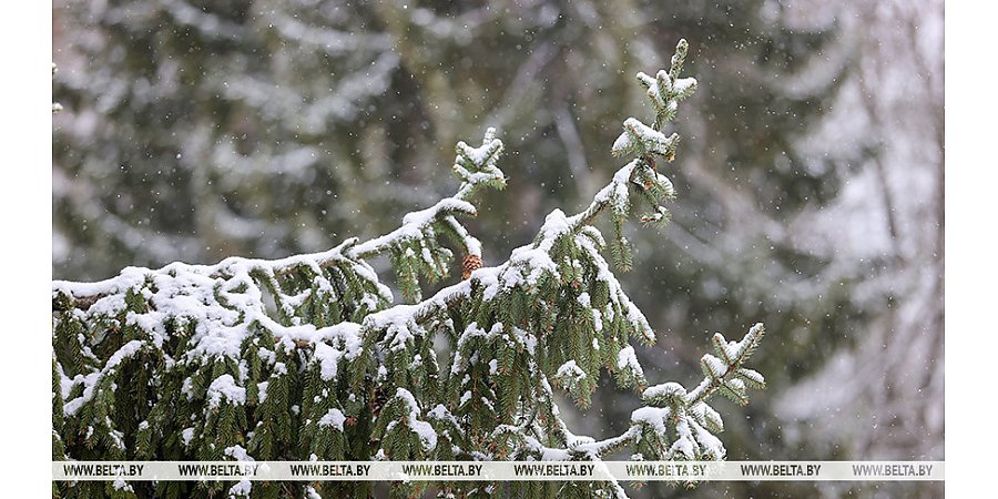 Гололед, снег, по югу - с дождем. Синоптики рассказали о погоде на 7 февраля